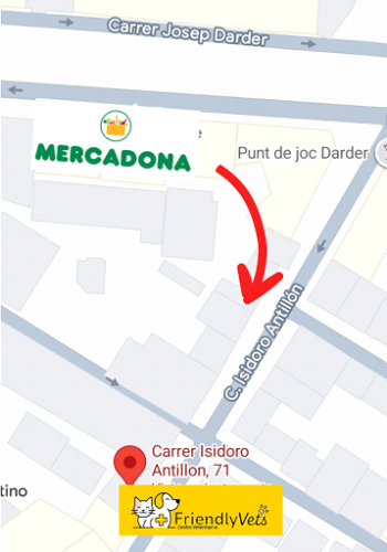 Screenshot 2026-02-10 214751